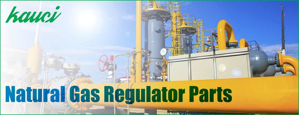 Kauçi; Natural Gas Regulator Kits